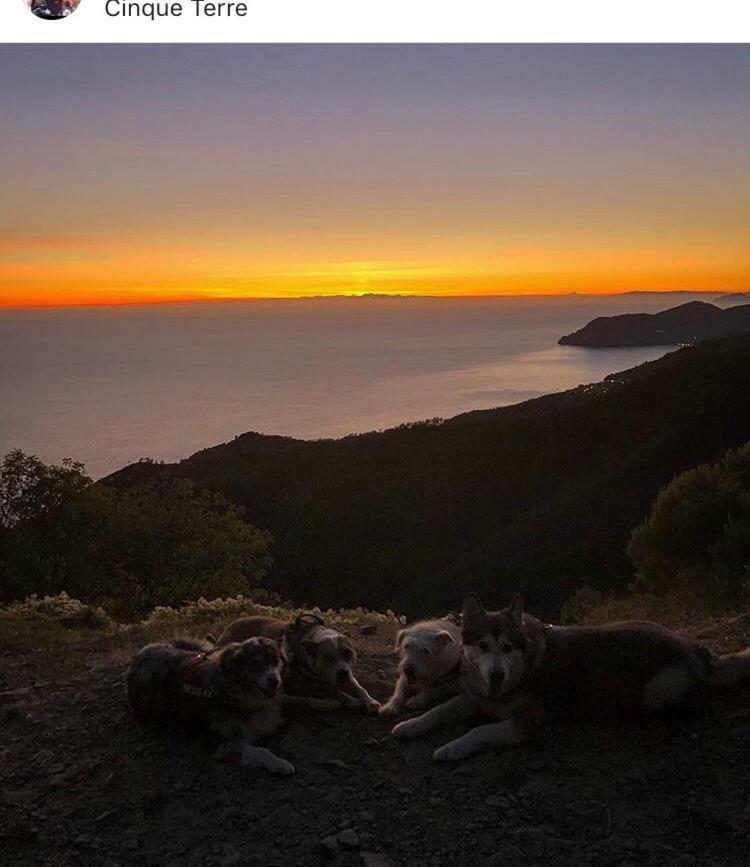 Appartamento La casa di Zahra Riccò del Golfo di Spezia Esterno foto